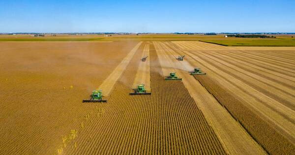La Nación / Precio internacional de la soja suavizaría impacto de menor producción este año