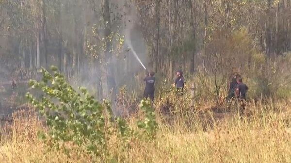 Fuego y ola de calor en Argentina: el Gobierno declara la emergencia ígnea