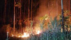 Natalio en alerta por focos de incendios