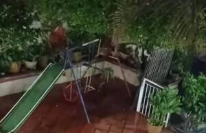Crónica / [VIDEO] Póra que se hamaca: "Es un angelito que va para jugar" le dijeron