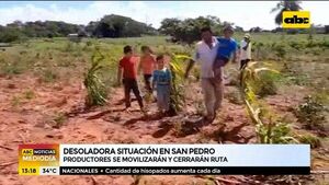 Desoladora situación en San Pedro por la sequía - ABC Noticias - ABC Color