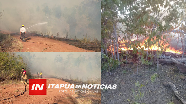 BOMBEROS SIGUEN TRABAJANDO EN ZONA DE PUERTO PALOMA. - Itapúa Noticias