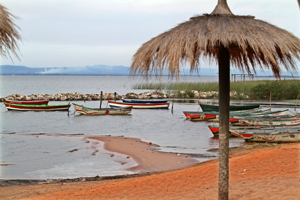 Aumento de cianobacterias en el Lago Ypacaraí