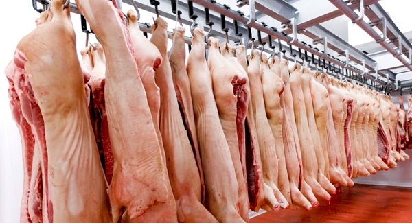 En el 2021 se exportó carne porcina por USD 9 millones