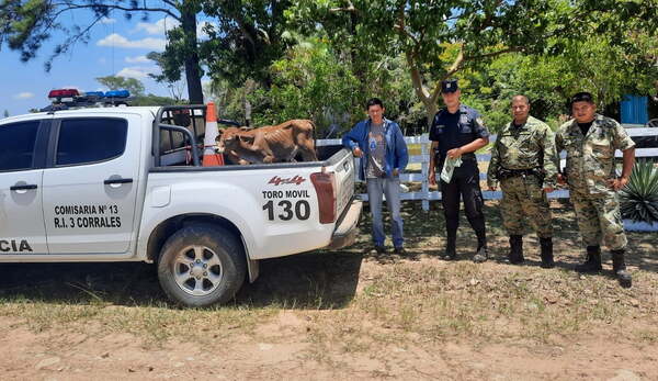 Recuperan animales vacunos hurtados en R.I 3 Corrales - Noticiero Paraguay