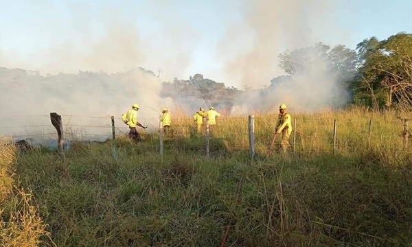 Preocupa creciente ola de incendios de pastizales - OviedoPress