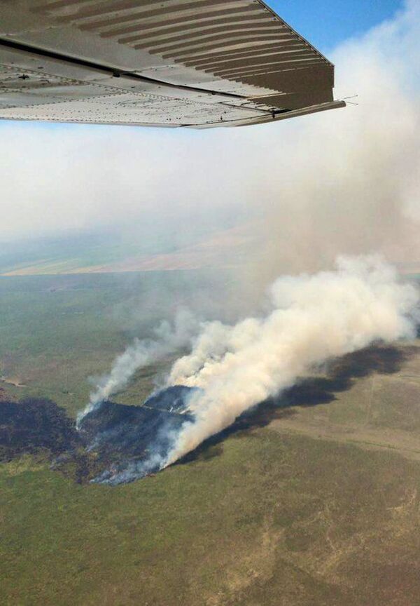 Bomberos trabajan para poder controlar gran incendio en Nanawa - Nacionales - ABC Color
