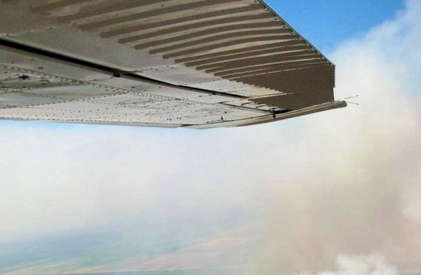 Diario HOY | Arde el país: miles de hectáreas quemadas, animales muertos y temor por el avance del fuego