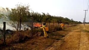 Incendio forestal de gran magnitud detrás del aeropuerto de Pilar  - Nacionales - ABC Color