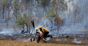 La Nación / Titular de Infona señala que es una época atípica de incendios forestales