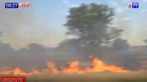 Dramática situación en Puerto Falcón por incendios forestales | Noticias Paraguay