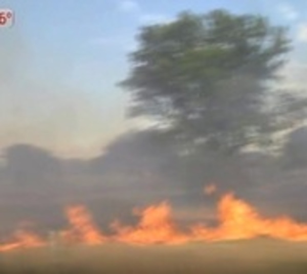 Tensa situación en Puerto Falcón por incendios forestales - Paraguay.com