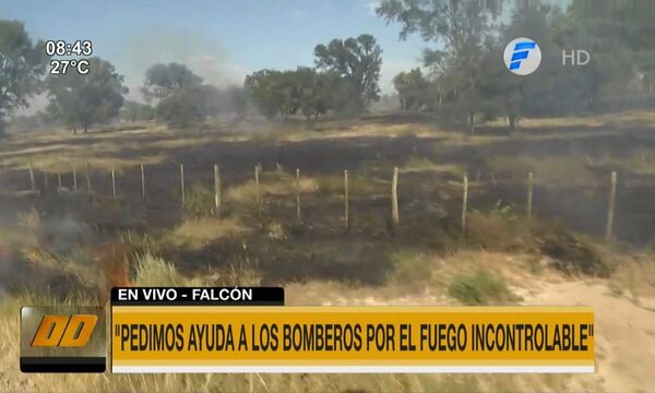 Bomberos piden ayuda a otras compañías por fuego incontrolable en Falcón | Telefuturo