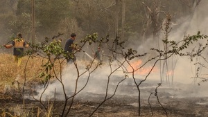 Registran más de 300 focos de incendio en todo el país | Noticias Paraguay