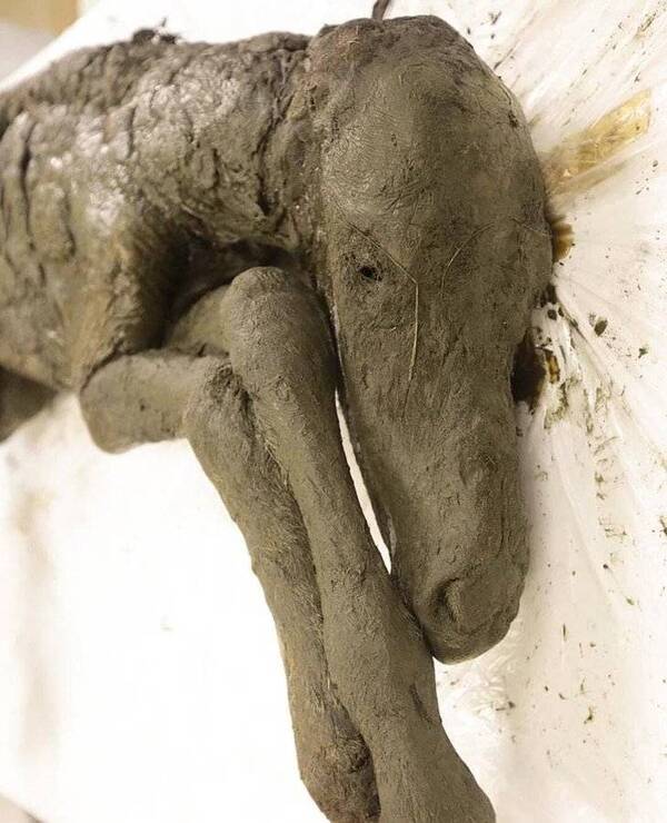 Crónica / Ojetopa caballo bebé de 42 mil años, científicos piensan en clonarlo