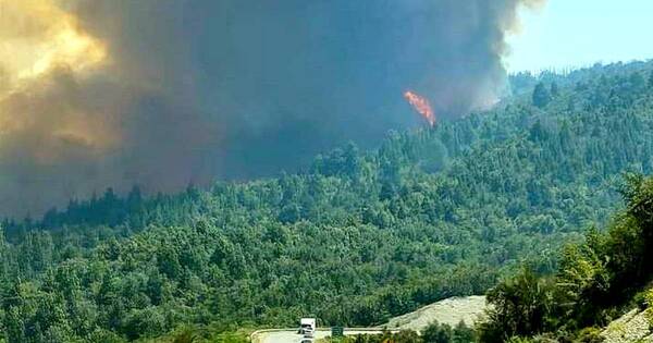 La Nación / Argentina declaró la emergencia ígnea por incendios