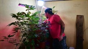 Costa Rica legaliza la marihuana terapéutica tras tres años de trabas y dilataciones