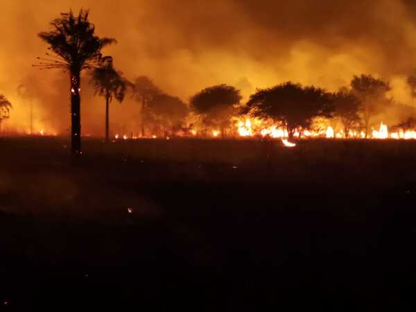 'El 99,9% de los incendios son provocados'