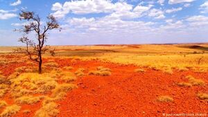 Australia registra 50,7 grados y alcanza un sorprendente récord de calor en el hemisferio sur