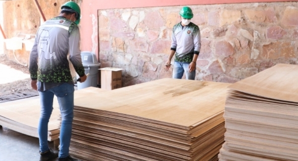 Industria paraguaya exporta madera reforestada a México, EE.UU y Chile
