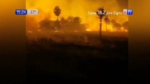 Bomberos se acuartelan a nivel nacional ante alarmante aumento de incendios forestales | Noticias Paraguay