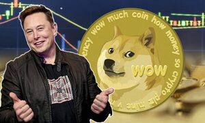Elon Musk anuncia que ya puedes comprar con Dogecoin en la web de Tesla.