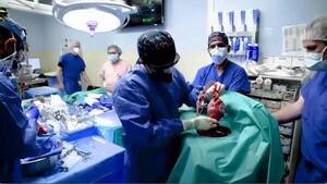 Crónica / El “hombre con corazón de cerdo” había sido apuñaló a prójimo