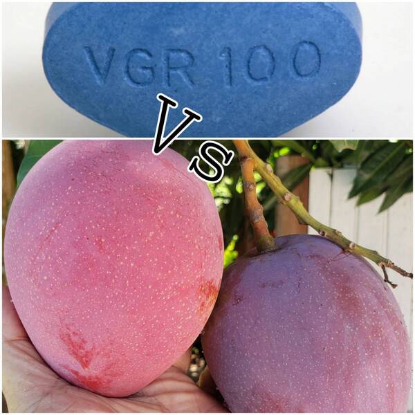 Crónica / ¿La fruta del placer?: "Para qué tomar viagra si tenemos mango", he'i horticultor