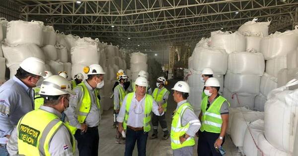 La Nación / Cecon iniciará la producción de cemento en el segundo semestre