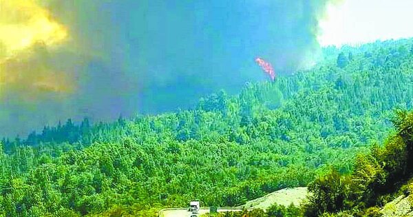 La Nación / Declaran emergencia ígnea por incendios