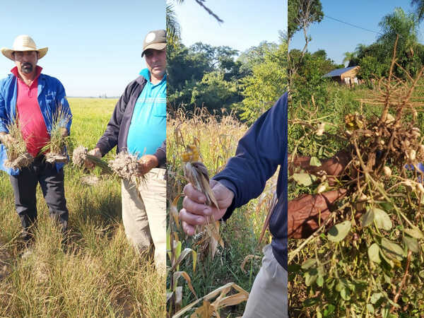 Junta Departamental de Misiones declara «Emergencia Departamental» por sequía