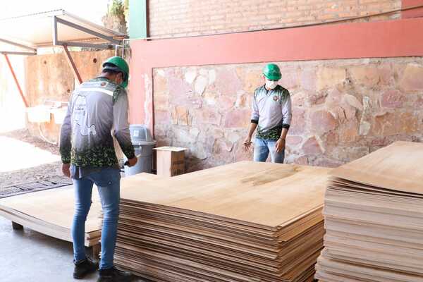 Comitiva del MIC visitó empresa que exporta madera reforestada a varios países - .::Agencia IP::.