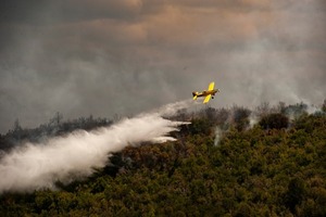 Nueve provincias argentinas registran focos activos de incendios forestales - .::Agencia IP::.