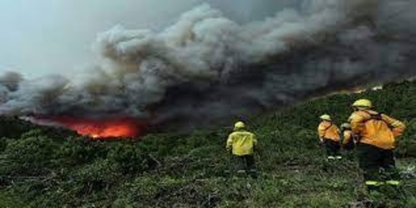 Diario HOY | Argentina continúa afectada por incendios que azotan varios puntos del país