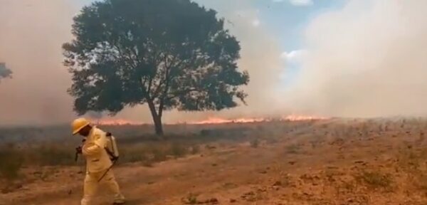 Bomberos trabajan en controlar un importante incendio en Misiones - Nacionales - ABC Color