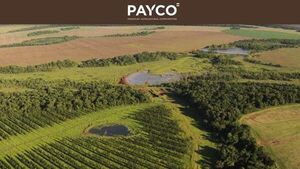Oferta multimillonaria por una empresa paraguaya genera dudas