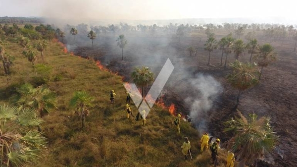 Diario HOY | Reportan incendios forestales en ruta Luque-Samber
