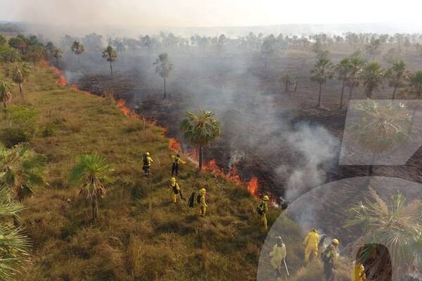 Crónica / Sigue el fuego en todos lados y bomberos están al límite