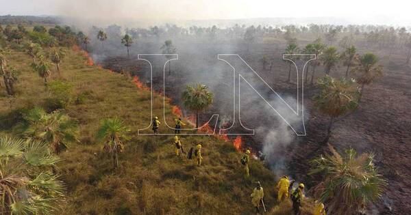 La Nación / Se recrudecen incendios y vientos fuertes dificultan los trabajos de los bomberos
