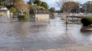 Después del tsunami en Tonga, las olas llegan a California