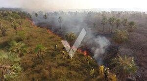 Reportan incendios forestales en ruta Luque-Samber