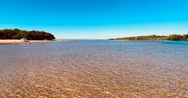 La Nación / Las paradisíacas islas del Paraná