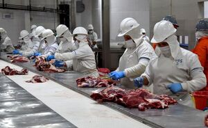 Carne bovina: responsable del 15,6% de los ingresos de divisas al país
