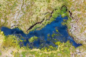 El deshielo del permafrost, una seria amenaza - Ciencia - ABC Color