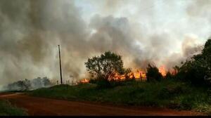 Argentina: Nueve provincias registran focos activos de incendios forestales - ADN Digital