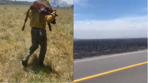 Otra jornada marcada por ola de incendios forestales en el país