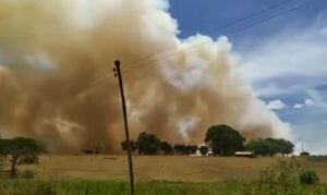 Incendio de grandes proporciones arrasa con cultivo de soja en Alto Paraná - ABC en el Este - ABC Color