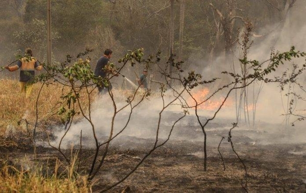 Diario HOY | Múltiples incendios azotan al país: bomberos voluntarios trabajan en su máxima capacidad