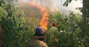 La Nación / “Inconsciencia criminal”, acusa funcionario asunceno por incendios provocados