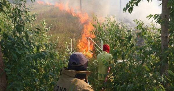 La Nación / “Inconsciencia criminal”, acusa funcionario asunceno por incendios provocados